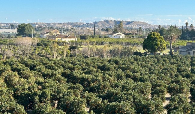 Begagnad - Villa - Daya Nueva