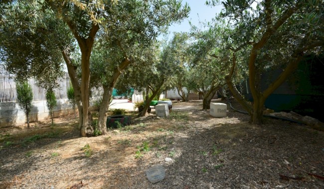 Begagnad - Villa - Guardamar - CAMPO