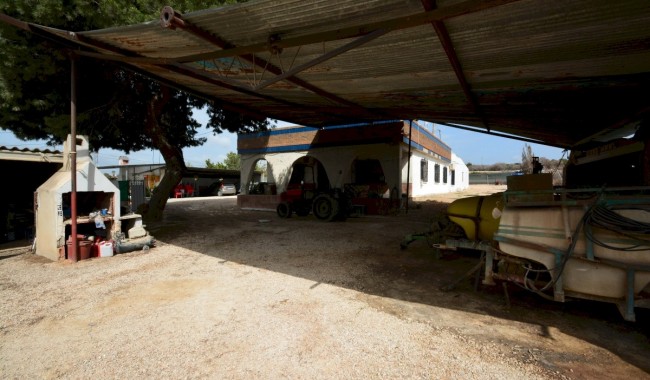 Begagnad - Villa - Guardamar - CAMPO