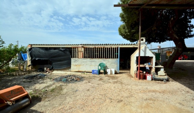 Begagnad - Villa - Guardamar - CAMPO