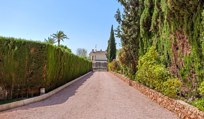 Begagnad - Villa - Elche - Elche/Elx