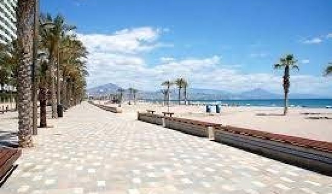 Nueva construcción  - Apartamento - San Juan Alicante - Franc Espinós