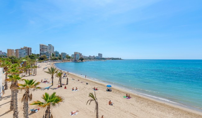 Sprzedaż - Apartament - Alicante