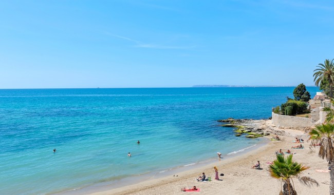 Sprzedaż - Apartament - Alicante