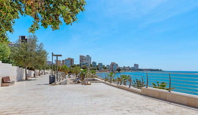 Sprzedaż - Apartament - Alicante