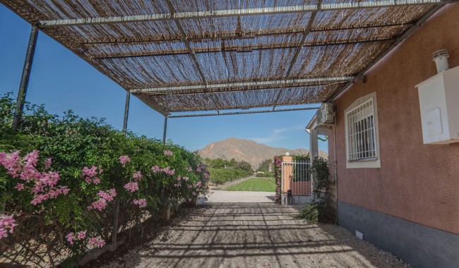 Segunda mano - Finca - Orihuela - San Bartolome