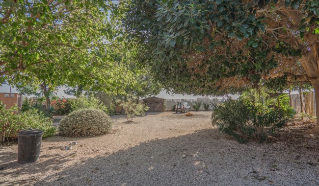 Segunda mano - Finca - Orihuela - San Bartolome