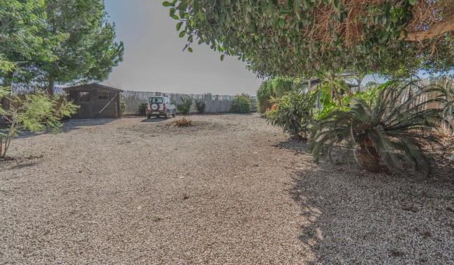 Segunda mano - Finca - Orihuela - San Bartolome