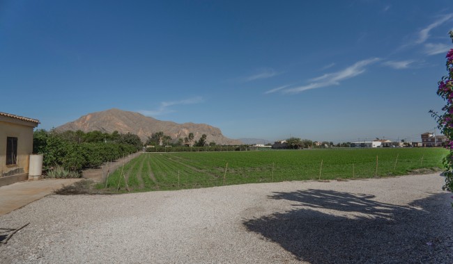 Segunda mano - Finca - Orihuela - San Bartolome