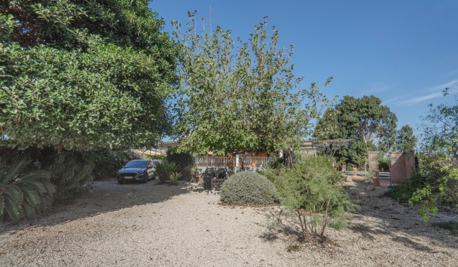 Segunda mano - Finca - Orihuela - San Bartolome