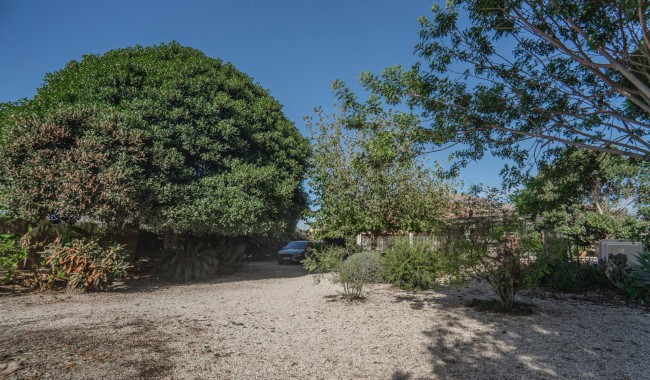 Segunda mano - Finca - Orihuela - San Bartolome