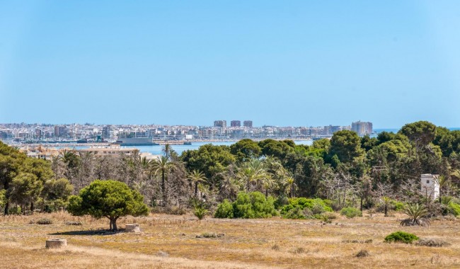 Sprzedaż - Apartament - Torrevieja - Punta prima