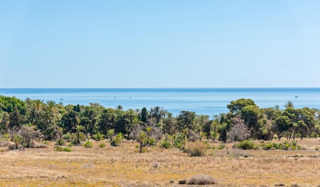 Sprzedaż - Apartament - Torrevieja - Punta prima
