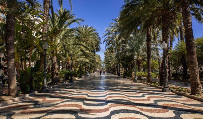 Nowa konstrukcja - Apartament - Alicante - Centro