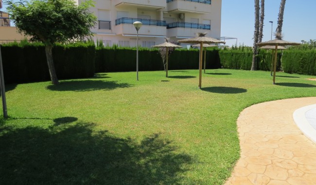 Segunda mano - Apartamento - Pilar de La Horadada - Mil Palmeras