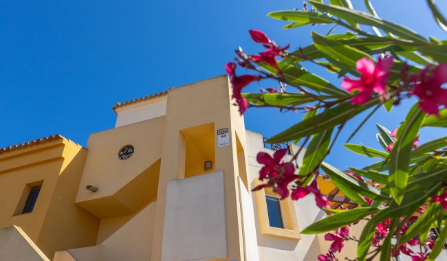 Segunda mano - Apartamento - Torrevieja - Los Altos