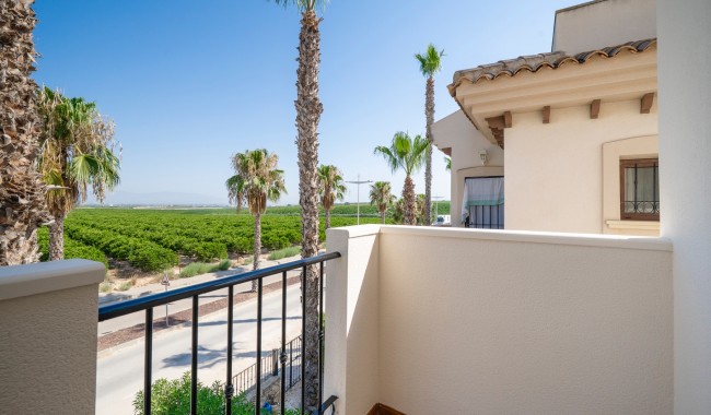 Segunda mano - Adosado - Algorfa