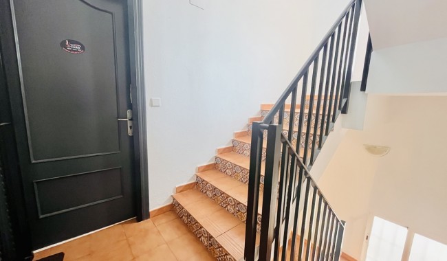 Sprzedaż - Lokal biznesowy - San Miguel de Salinas