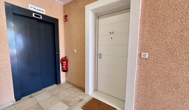 Segunda mano - Apartamento - Guardamar - El Raso