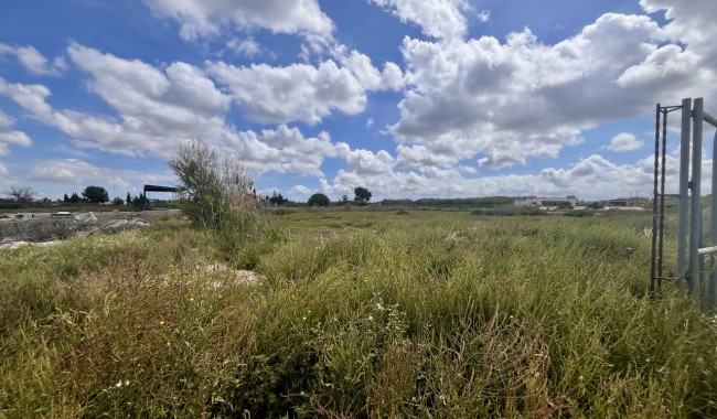 Begagnad - Tomt - Catral