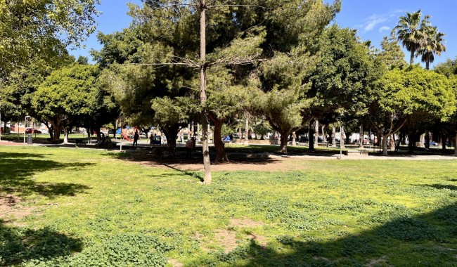 Begagnad - Lägenhet - Torrevieja