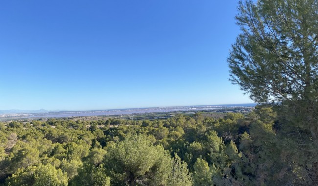 Resale - Villa - San Miguel de Salinas