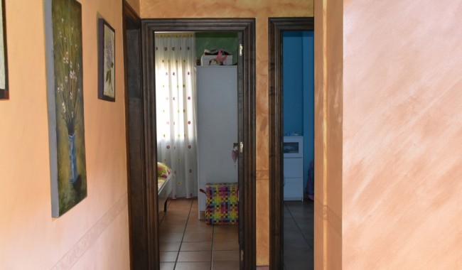 Sprzedaż - Kamienica - Algorfa