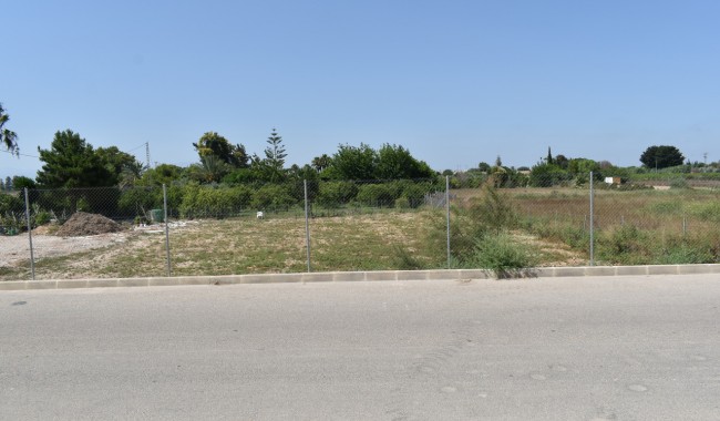 Sprzedaż - Kamienica - Algorfa