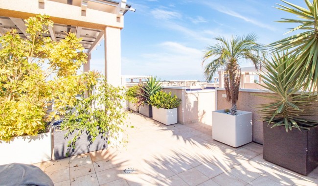 Sprzedaż - Apartament - Torrevieja - Punta prima