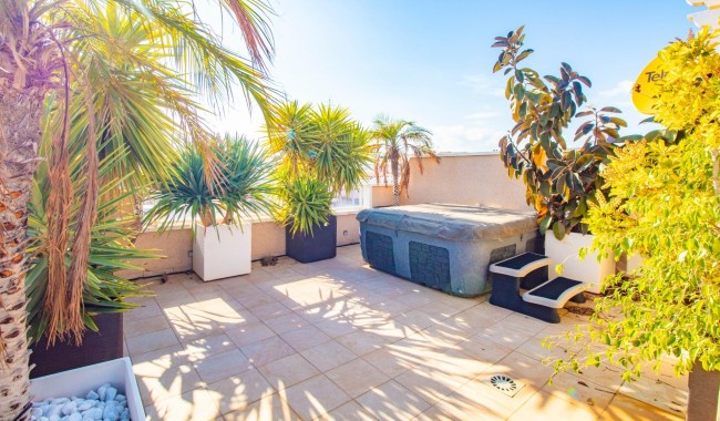 Sprzedaż - Apartament - Torrevieja - Punta prima
