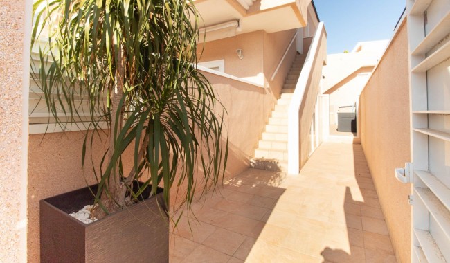 Sprzedaż - Apartament - Torrevieja - Punta prima