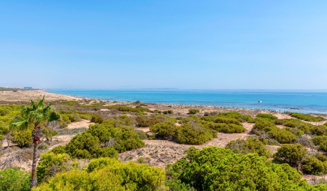 Resale - Apartment - Torrevieja - La Mata