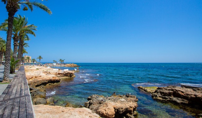 Sprzedaż - Apartament - Torrevieja - Playa de los locos