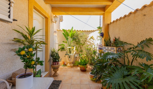 Brukt - Villa - Torrevieja - Zona los Frutales