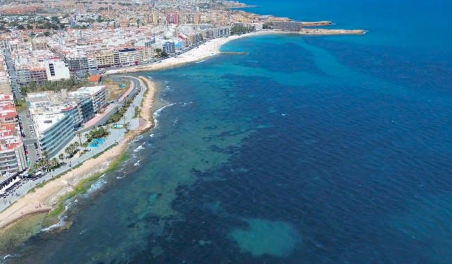 Begagnad - Lägenhet - Torrevieja - Playa del cura