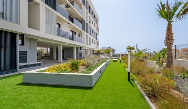 Segunda mano - Apartamento - Alicante - San Agustín-PAU 2
