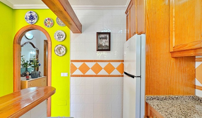 Segunda mano - Adosado - Orihuela - La Campana