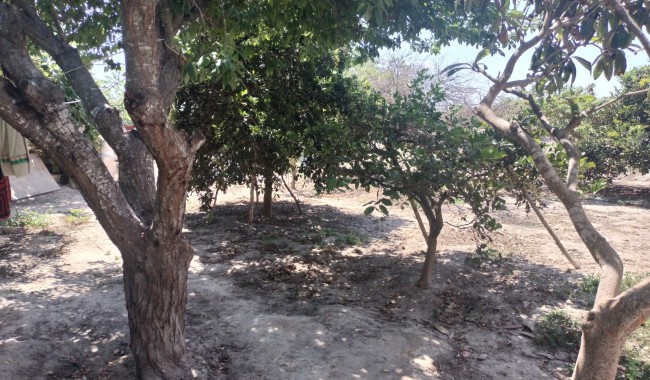 Segunda mano - Finca - Ciudad Quesada/Rojales - Ciudad Quesada