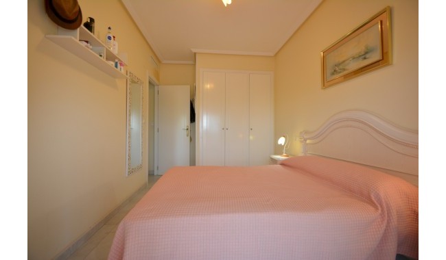 Segunda mano - Apartamento - Guardamar - SUP 7