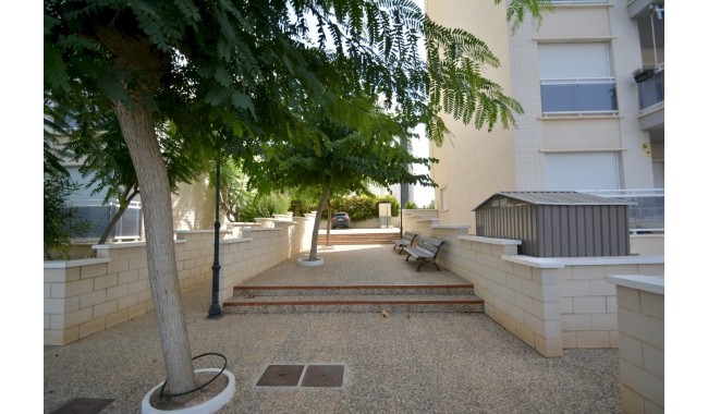 Segunda mano - Apartamento - Guardamar - SUP 7