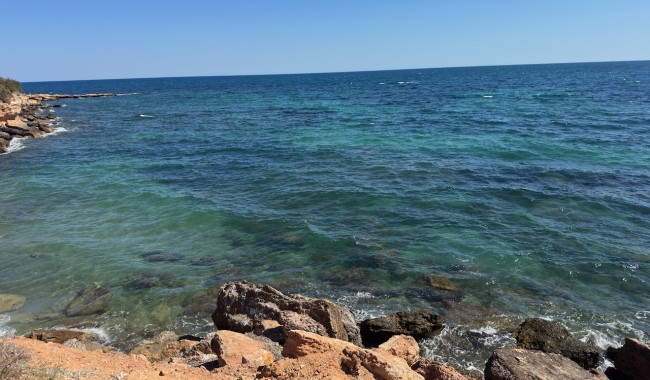 Sprzedaż - Willa - Punta Prima