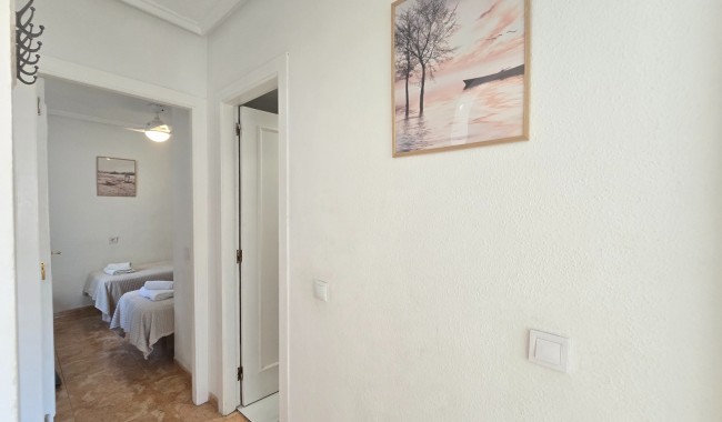 Segunda mano - Apartamento - Torrevieja - El Limonar