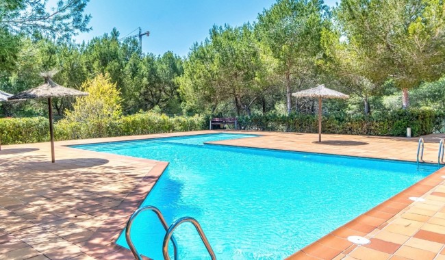 Segunda mano - Apartamento - Orihuela - Las Colinas Golf