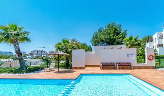 Segunda mano - Apartamento - Orihuela - Las Colinas Golf