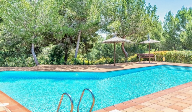 Segunda mano - Apartamento - Orihuela - Las Colinas Golf