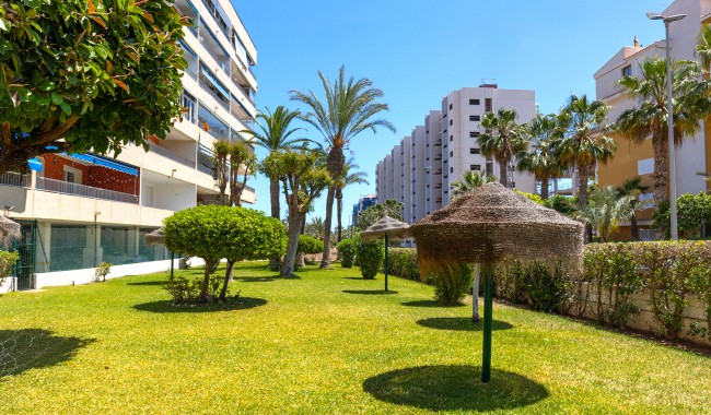 Segunda mano - Apartamento - Torrevieja - Rocio del Mar