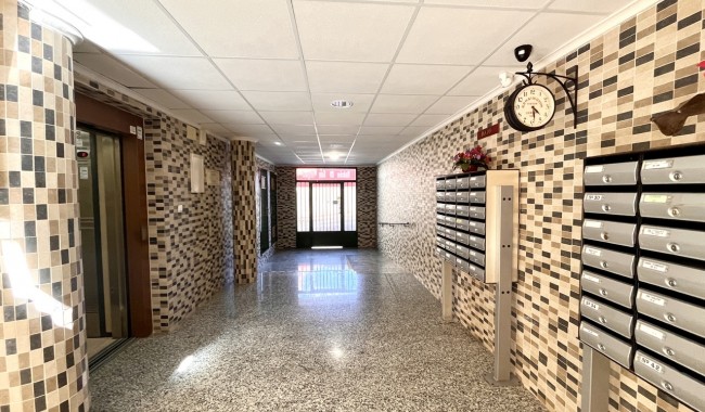 Begagnad - Lägenhet - San Miguel de Salinas