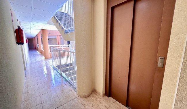 Begagnad - Lägenhet - San Miguel de Salinas