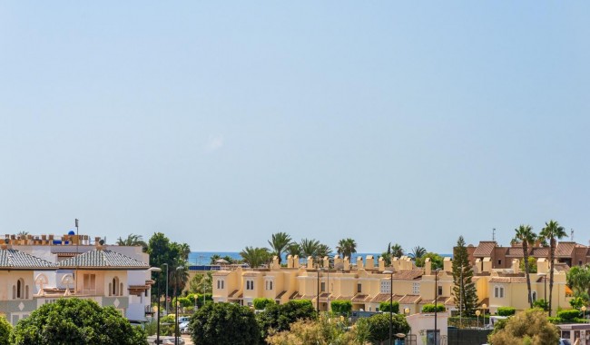 Nybyggnation - Villa - Vera - Vera playa