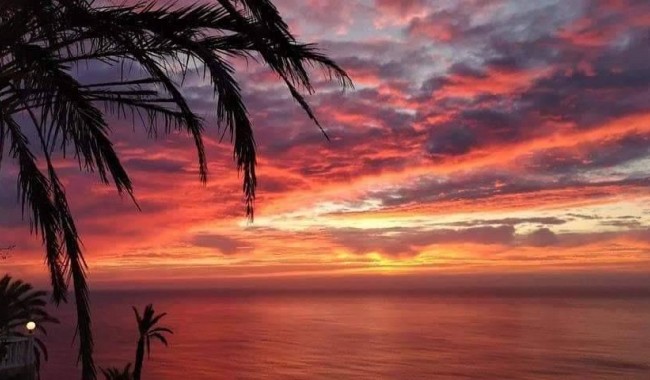 Nybyggnation - Radhus - Torrevieja - Altos del Sol